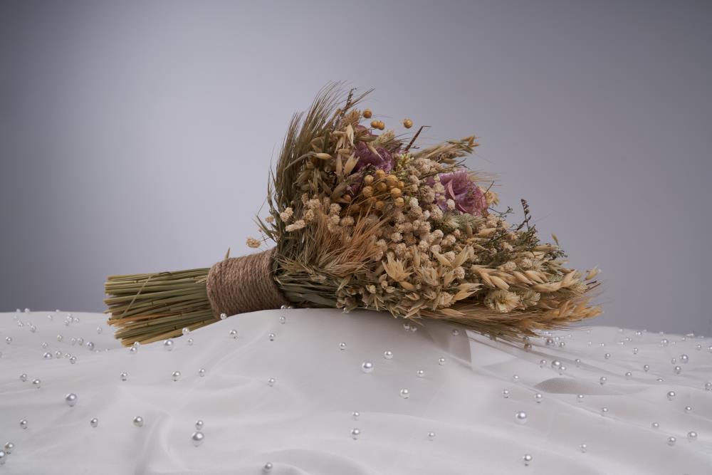 DSC09611.jpg230640610