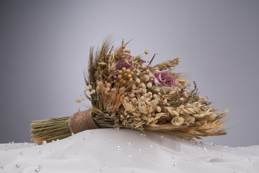 DSC09614.jpg141487339