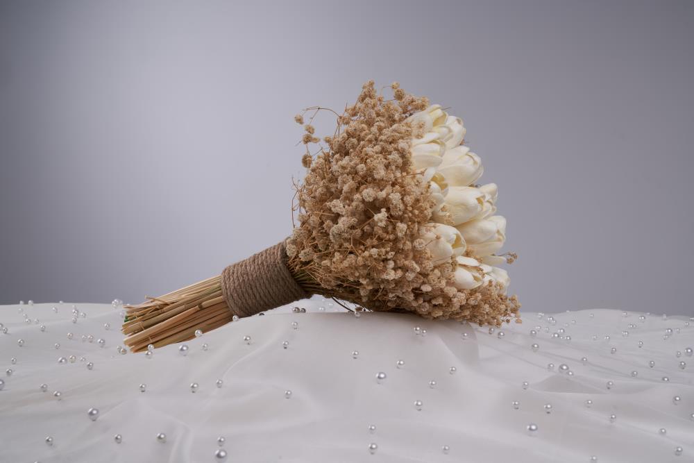 DSC09627.jpg358369161